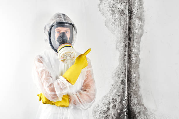 Mold Remediation for Rental Properties